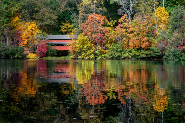 Why Beauty is Important The Joseph Group